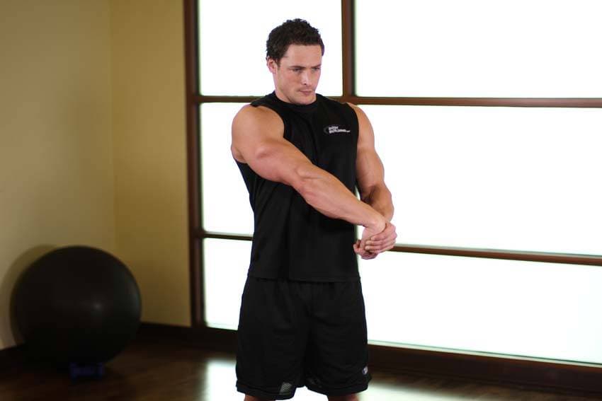 Along. antebraço — posição inicial